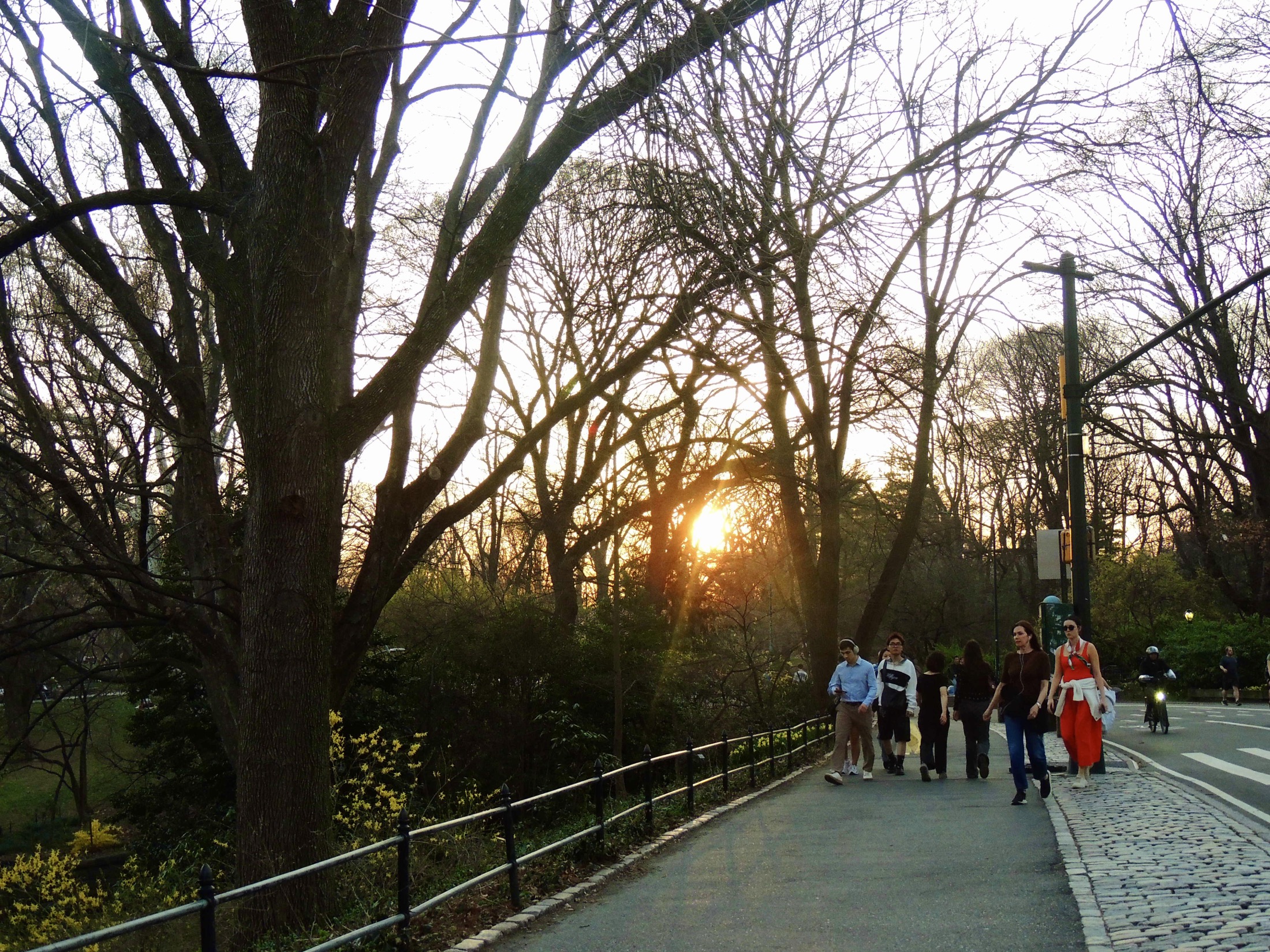 People walking along a tree-lined path in late afternoon light