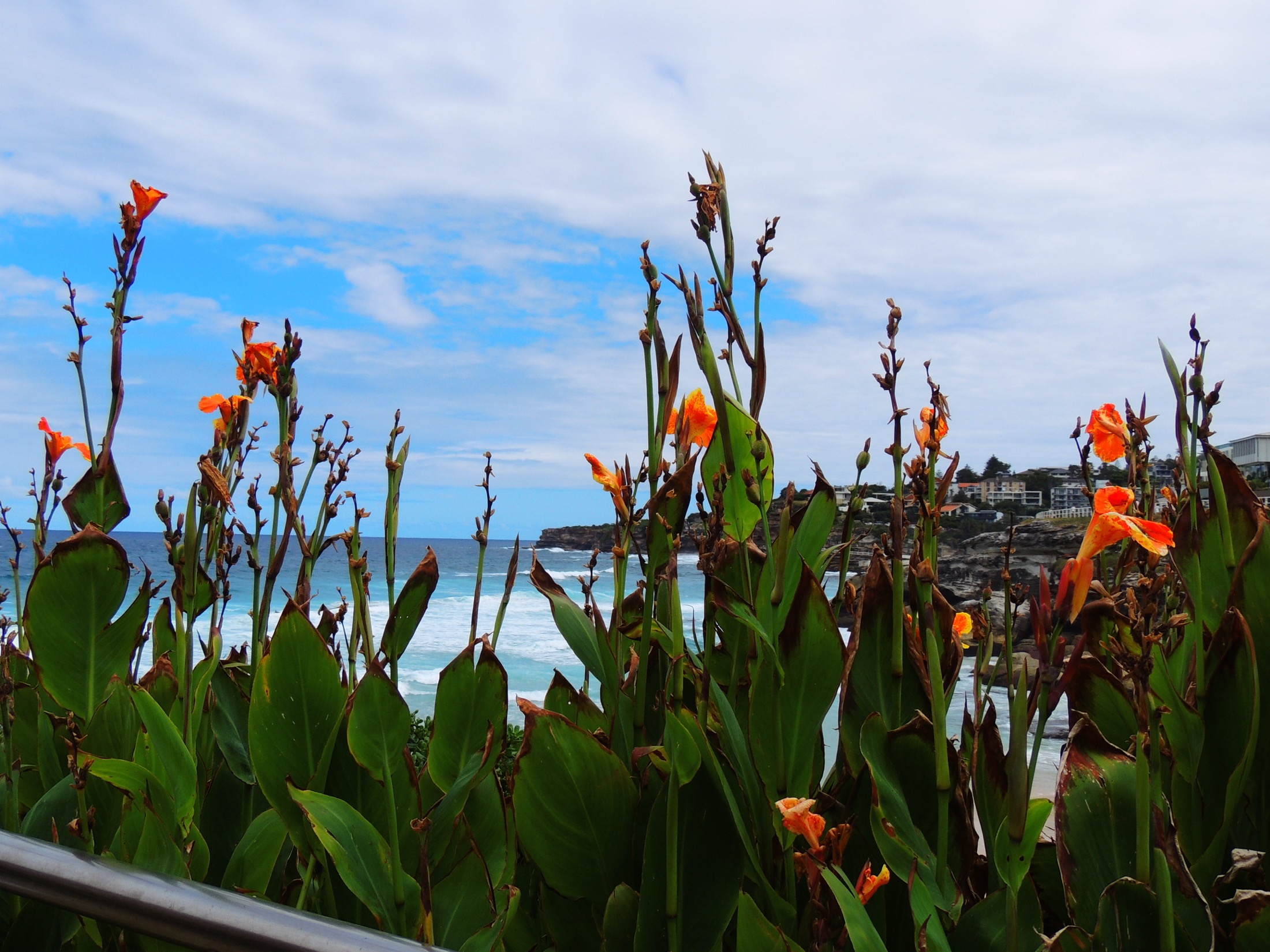 Where the Coast Disappears