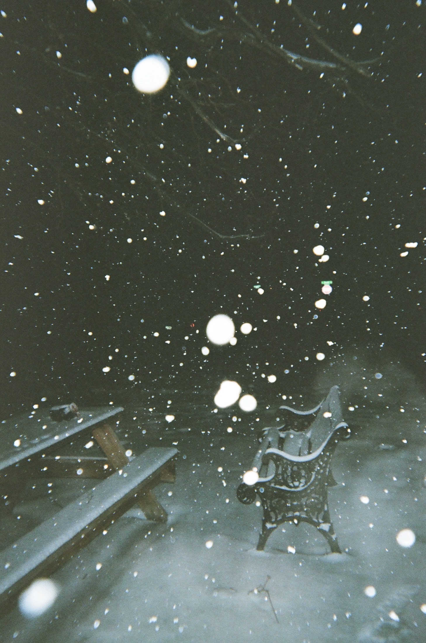 Snow Constellation