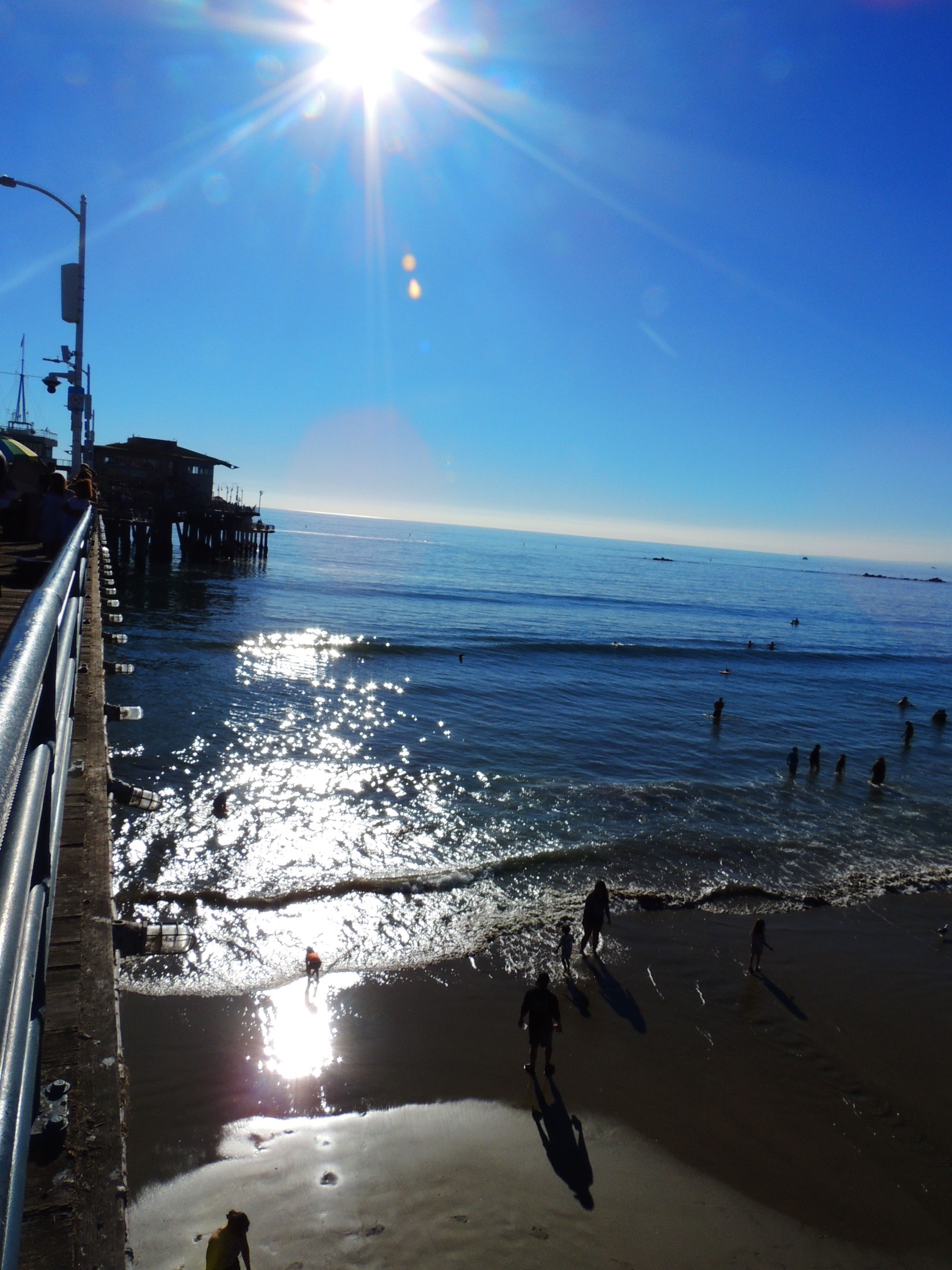 Santa Monica in Motion