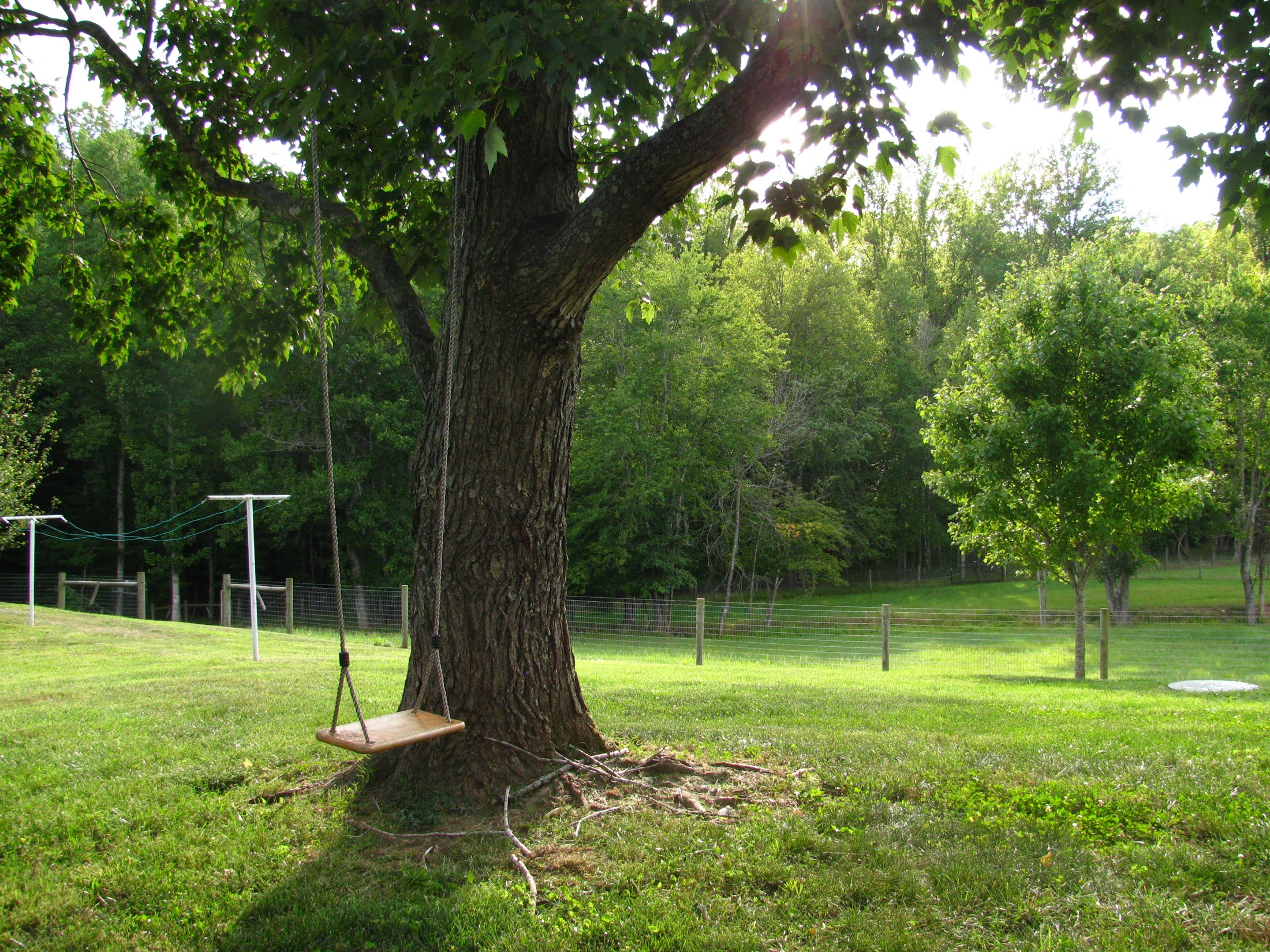 The Empty Swing